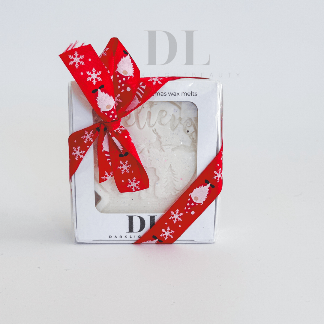 Christmas Snow Globe Wax Melt Gift Box - Santa's Cookies